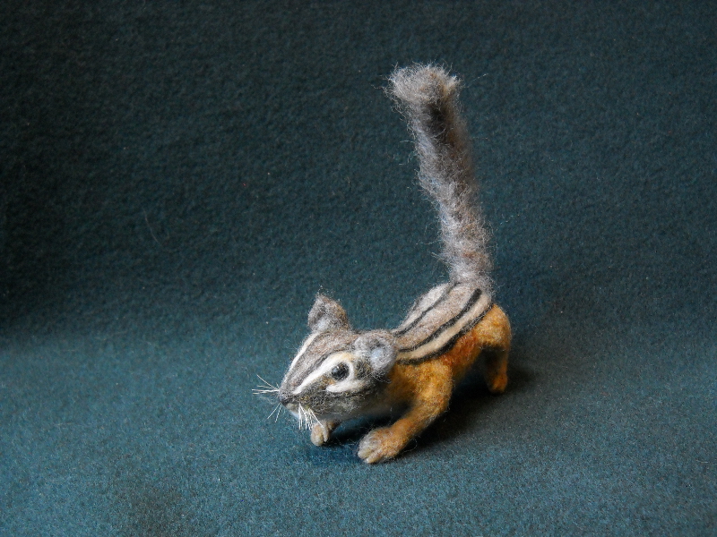 Chipmunk 19